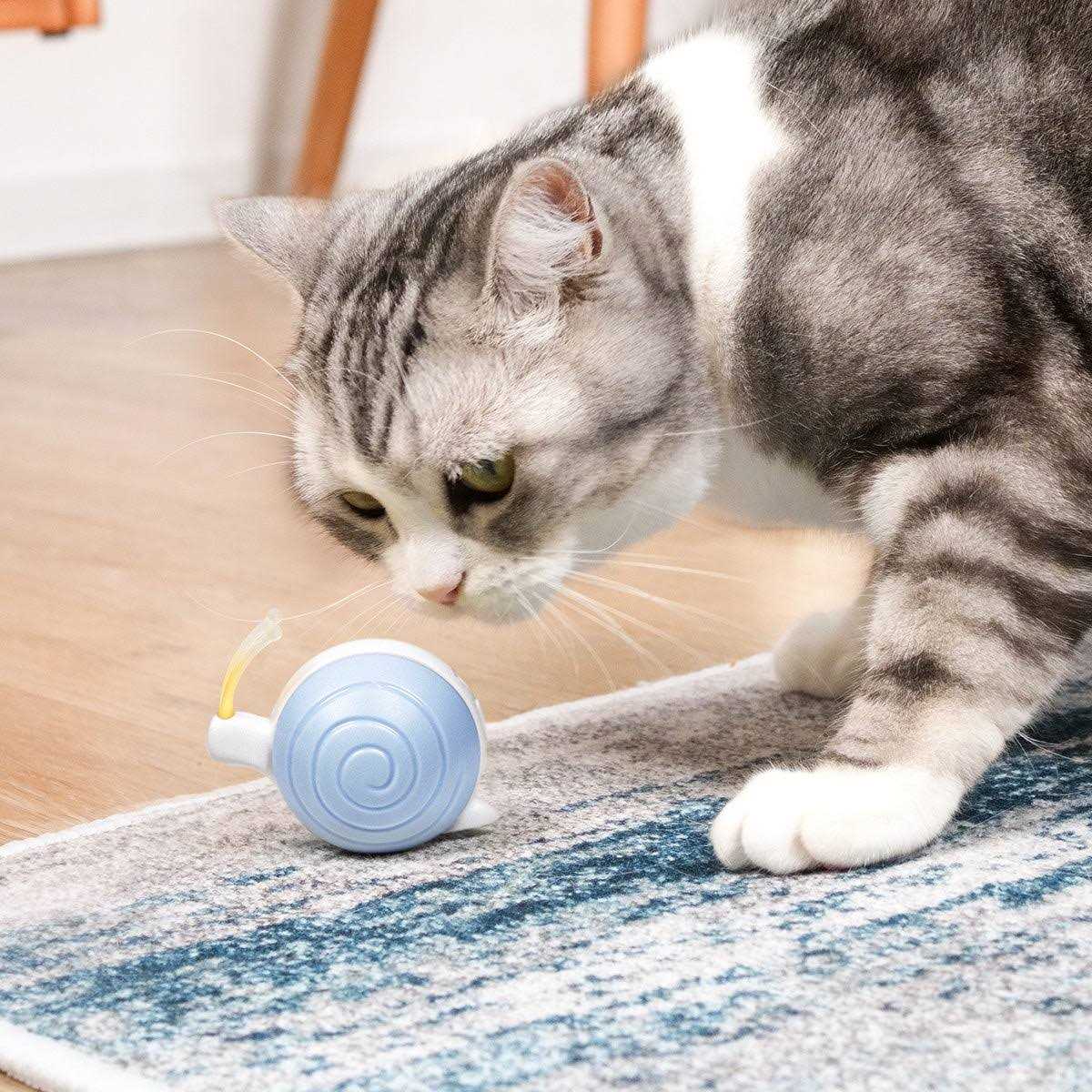Interactive Cat Toy U368307