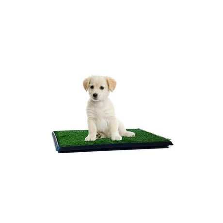 Artificial Grass Potty Trainer Mat P8125