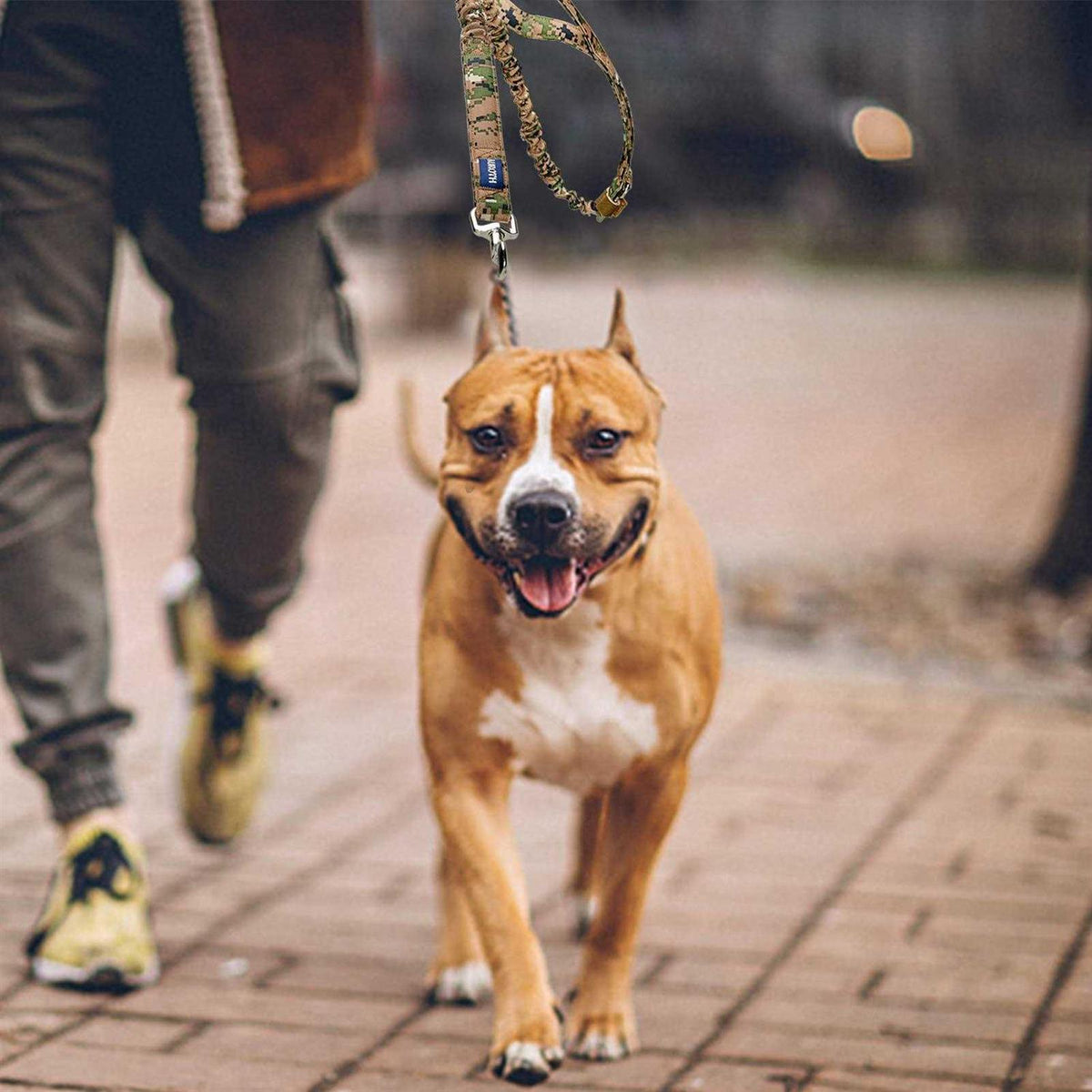 Heavy Duty Bungee Dog Leash I707