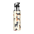 Insulated Stainless Steel Water Bottle with Straw Lid, 20 oz V88162