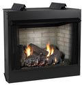 36x22 Vent-Free Firebox with Refractory Liner S46640