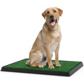 Artificial Grass Potty Trainer Mat P8125