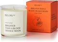 Scented Candle Orange & Ginger 10oz Soy Wax 50 hr Burn Time T4630