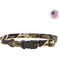 Adjustable Dog Collar I844663