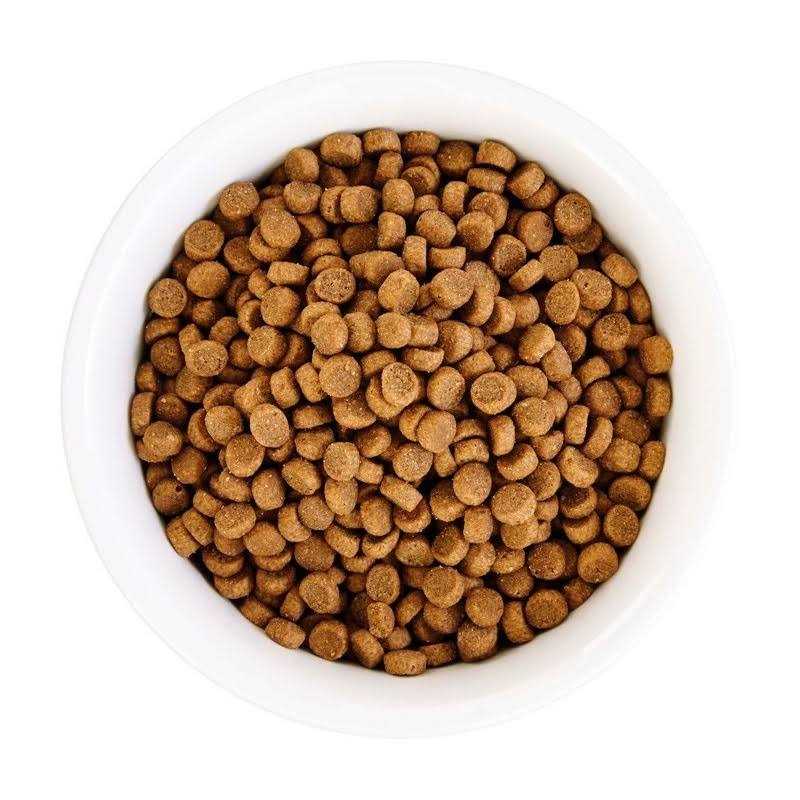 Grain Free Chicken Formula Dry Cat Food Z205756