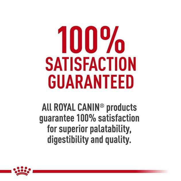 Veterinary Diet Canned Dog Food H933361