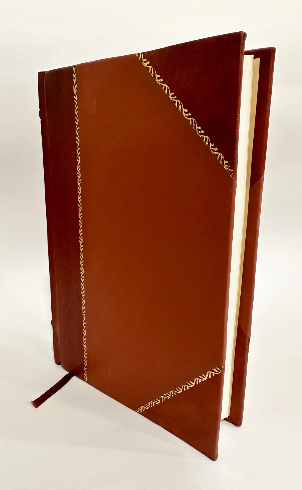 Rhode-Island and Providence Leather Bound U51022