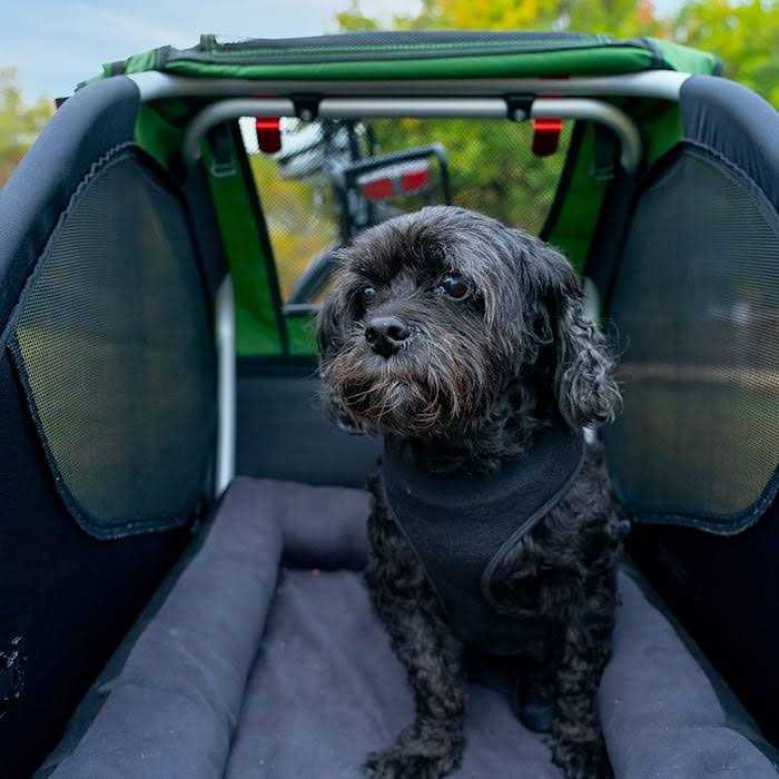 Pet Bed A7874