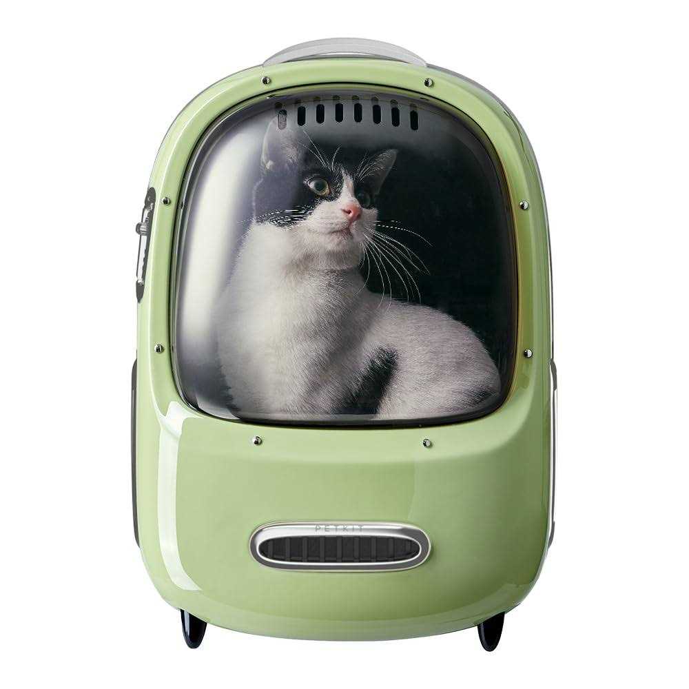 Cat Backpack Carrier with Fan & Light R494