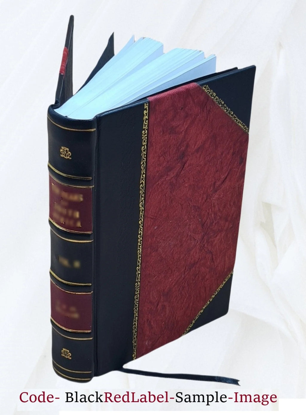 The pursuit of the house-boat I3707